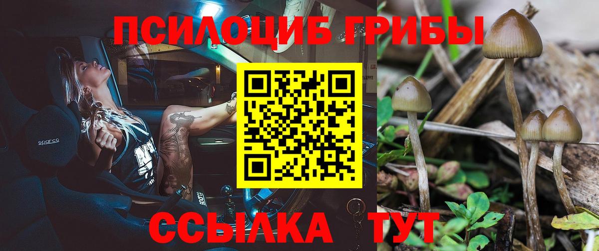 Псилоцибиновые грибы прущие грибы Богородицк