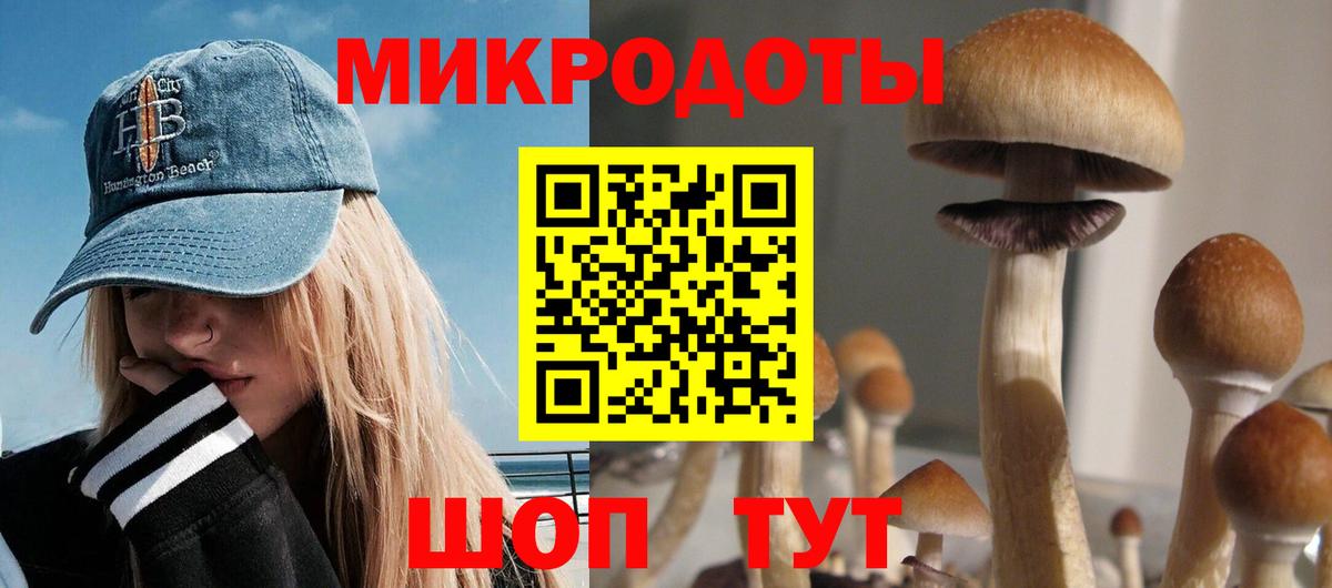 Галлюциногенные грибы Psilocybe  Вход с VPN  Богородицк 